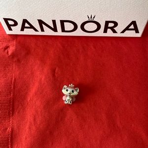 Pandora Bracelet Charm